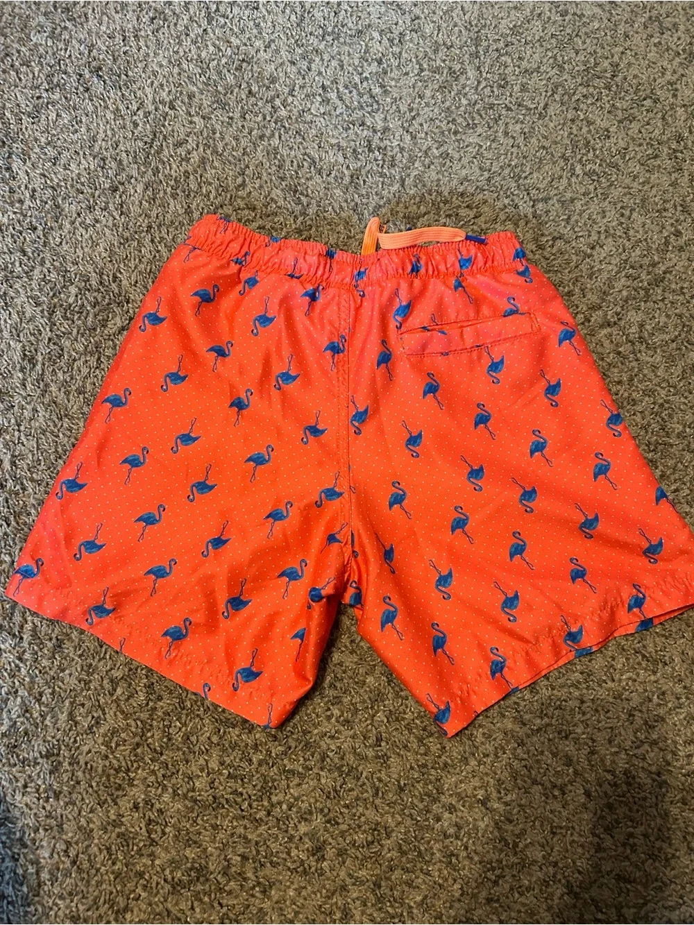 Men's Coral Swim Trunks with Blue Flamingo Print